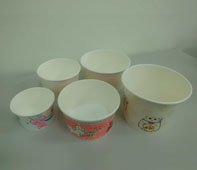 Paper Bowl